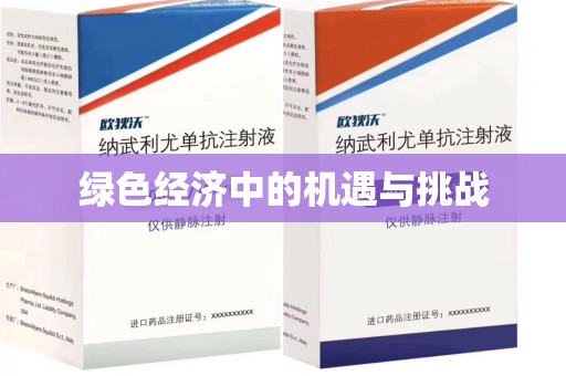 宿州绿色经济中的机遇与挑战