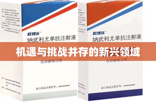 宿州机遇与挑战并存的新兴领域