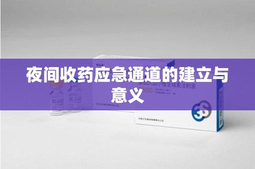 宿州夜间收药应急通道的建立与意义