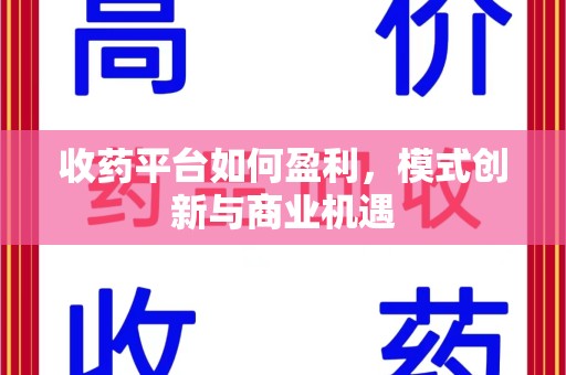 宿州收药平台如何盈利，模式创新与商业机遇